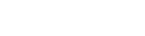 The New Leader